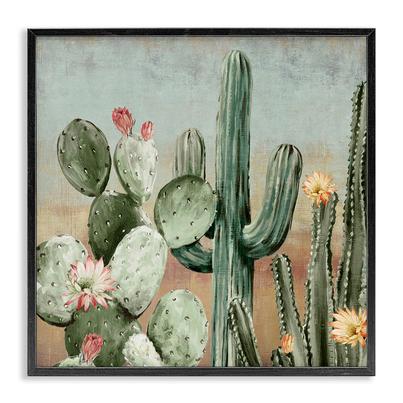 Stupell Industries Cacti Blooms Among Thorns Framed Giclee, design by Luna Mavis